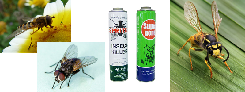 fly spray can