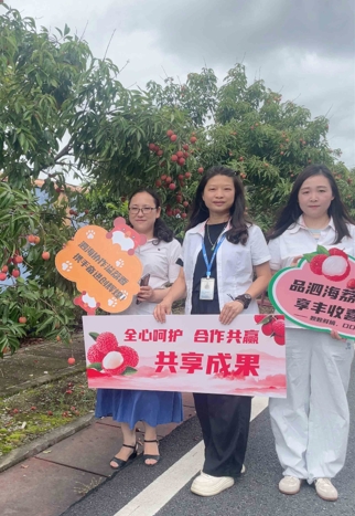 Sihai Lychee Culture Festival