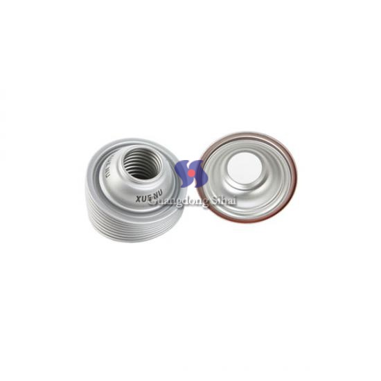 Aerosol Component