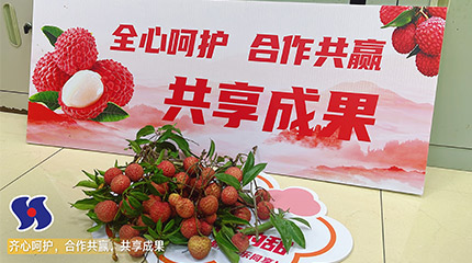 Lychee Culture Festival 2025