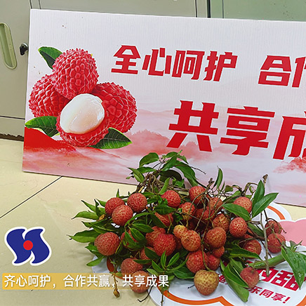 Lychee Culture Festival 2025